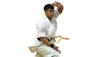 Songshan Chan Wu Canada Academy