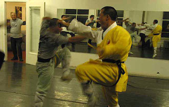 Songshan Chan Wu Canada Academy