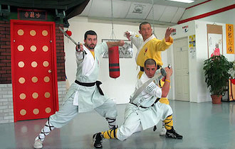 Songshan Chan Wu Canada Academy