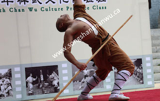 Songshan Chan Wu Canada Academy
