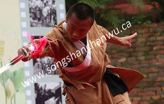 Songshan Chan Wu Canada Academy