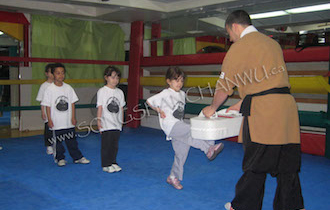Songshan Chan Wu Canada Academy