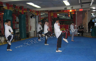 Songshan Chan Wu Canada Academy