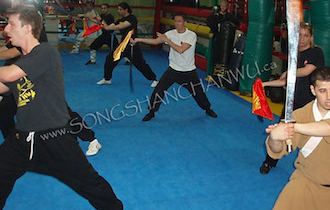 Songshan Chan Wu Canada Academy