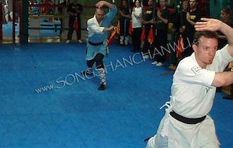 Songshan Chan Wu Canada Academy