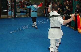Songshan Chan Wu Canada Academy