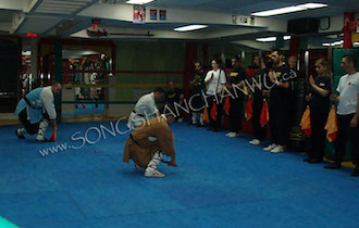 Songshan Chan Wu Canada Academy