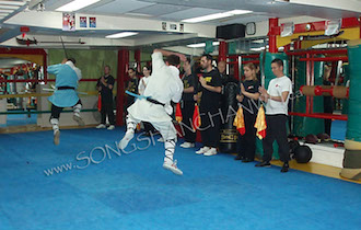 Songshan Chan Wu Canada Academy