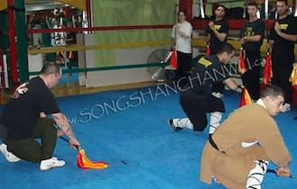 Songshan Chan Wu Canada Academy