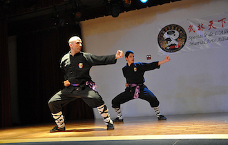 Songshan Chan Wu Canada Academy